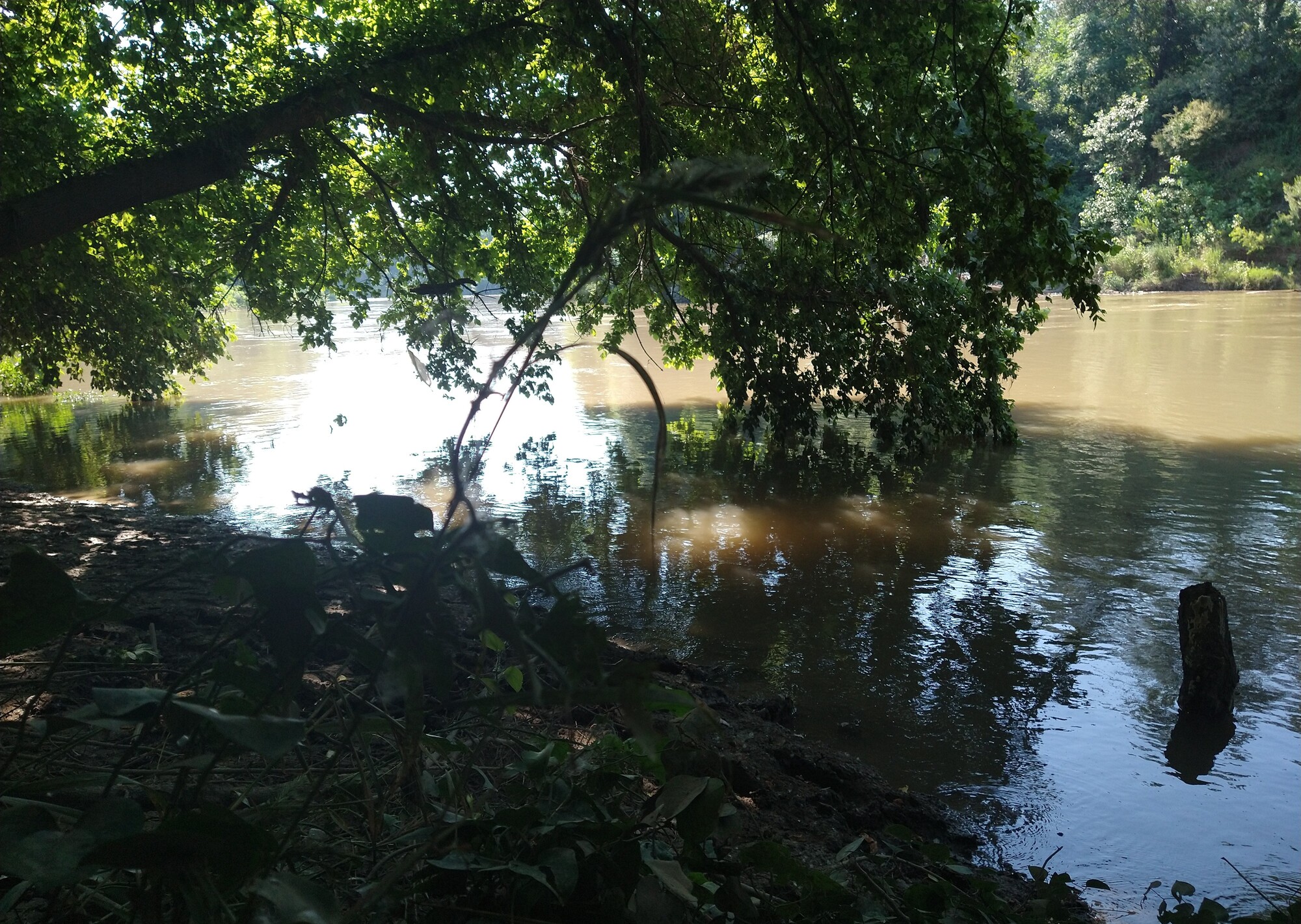 River Sanctuary